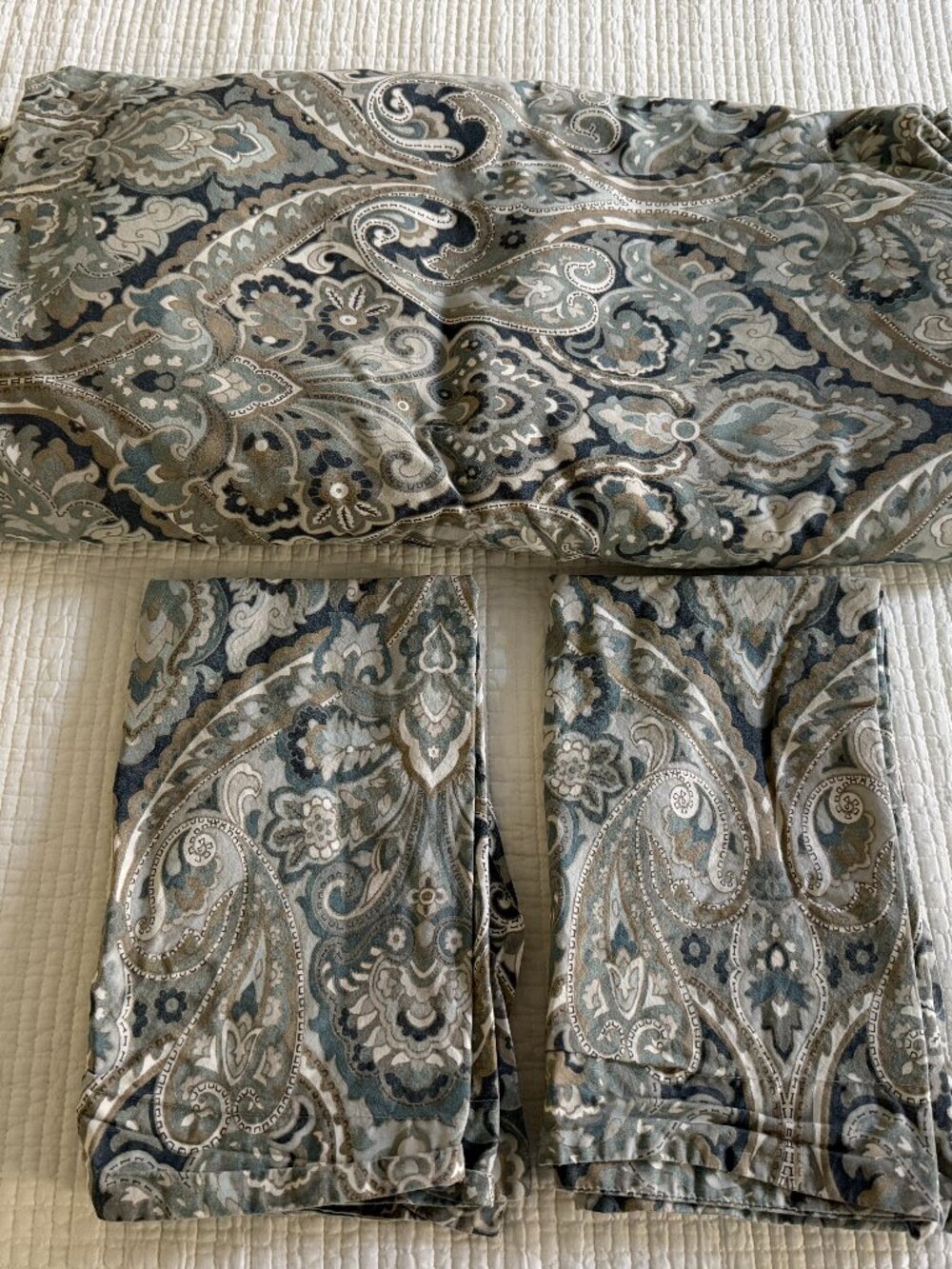 Pottery Barn Mackenna Paisley Organic Percale Duvet Cover Full/Queen with 2 Sham